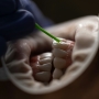 Dental implant care basics: Single-tooth replacement